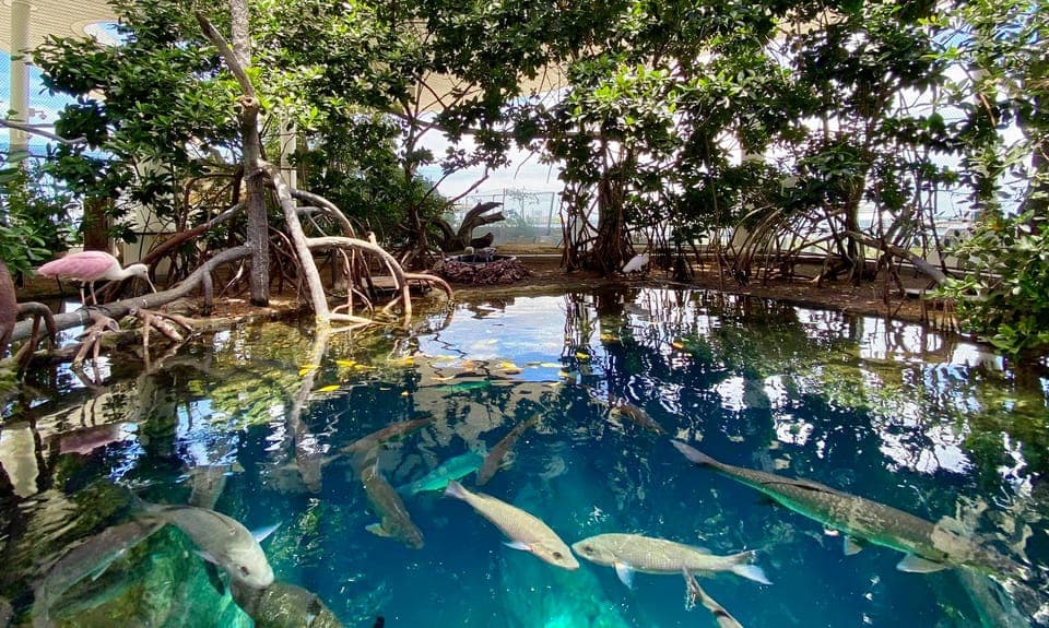 Frost Museum of Science and Planetarium Entry Ticket Gallery Image 4