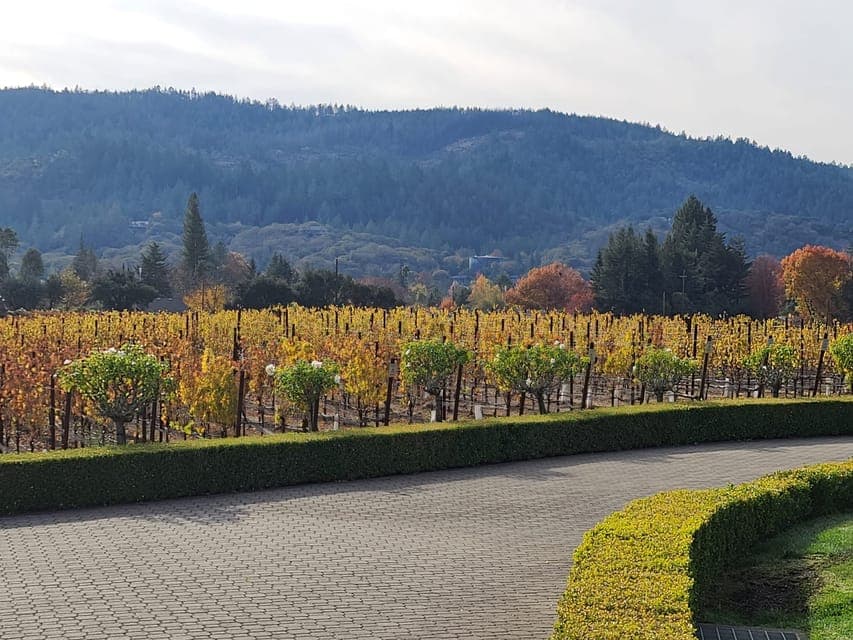 Napa and Sonoma Private Wine Tour Gallery Image 3