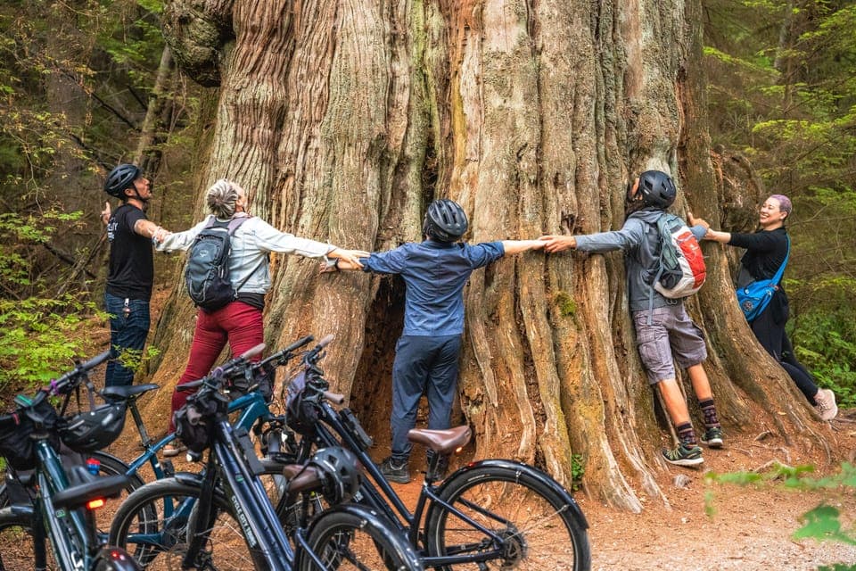 Stanley Park Bicycle Tour - Image 3