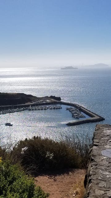 San Fransico: Muir Woods & Marin Headlands Private Tour Gallery Image 3