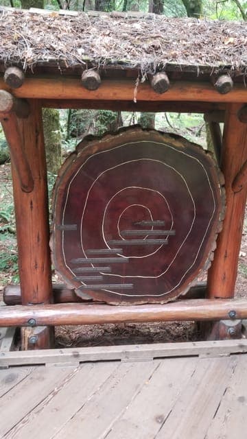 San Fransico: Muir Woods & Marin Headlands Private Tour Gallery Image 4