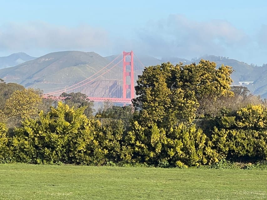 Major Landmarks Private Sightseeing Tour Gallery Image 2