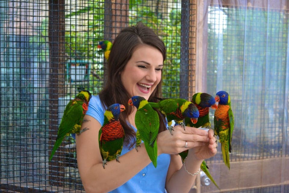 Niagara Falls, Canada: Bird Kingdom Entry Ticket Gallery Image 1