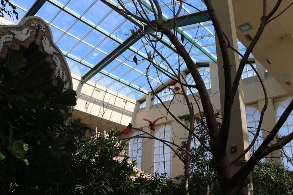 Niagara Falls, Canada: Bird Kingdom Entry Ticket Gallery Image 3