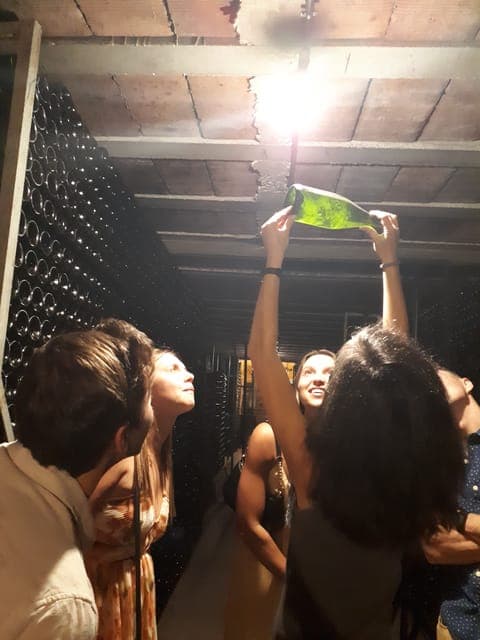 3 Penedes Wineries with Hotel Pick-up and Lunch Gallery Image 2