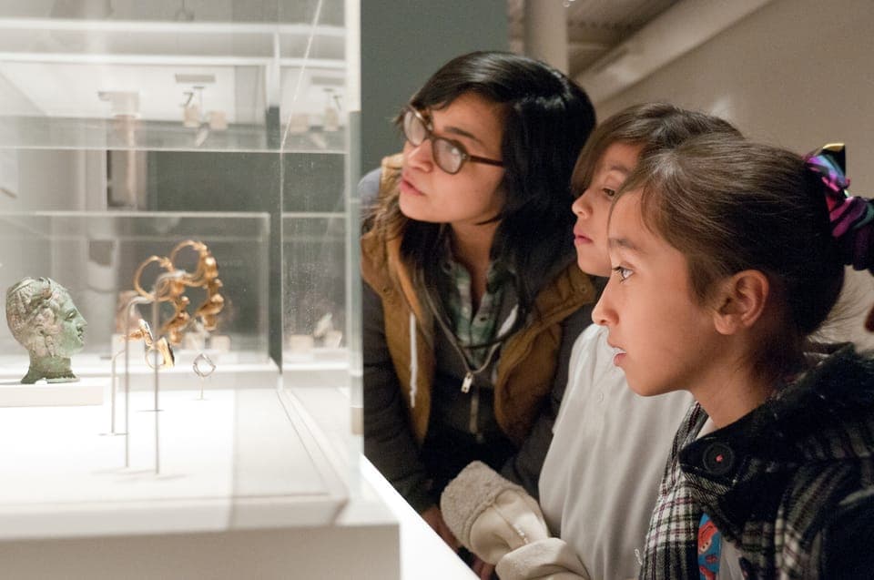 San Antonio Museum of Art Entry Ticket Gallery Image 3