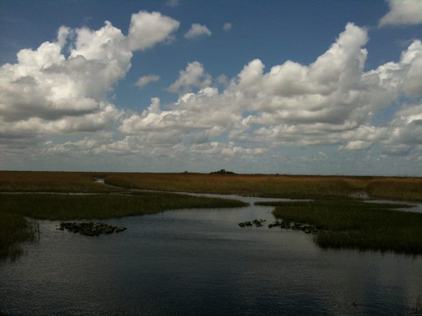 Original Everglades Airboat Tour & Alligator Exhibit Gallery Image 3
