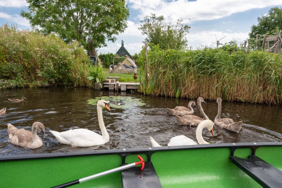 Amsterdam 5-Hour Guided Canoe Trip in the Wetlands Gallery Image 3