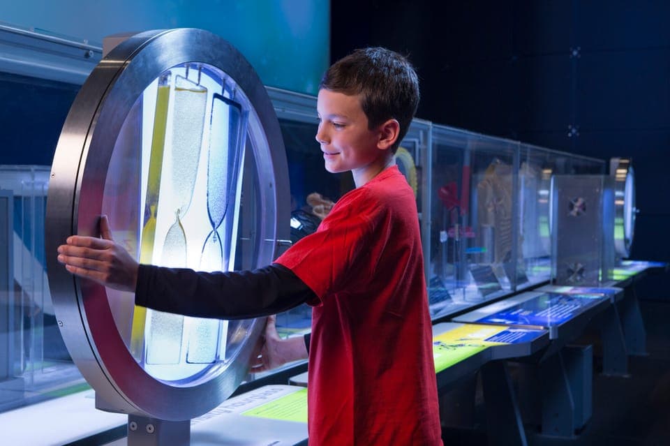 Griffin Museum of Science and Industry Ticket Gallery Image 4