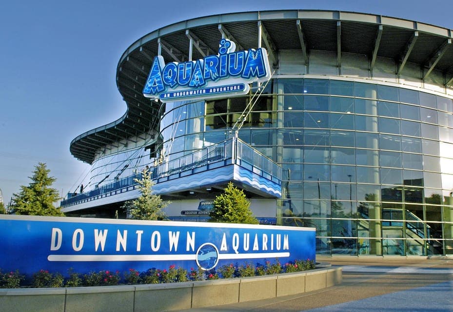 19. Downtown Aquarium All-Day Pass - Image 19