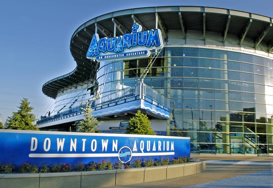 Downtown Aquarium All-Day Pass Gallery Image 1