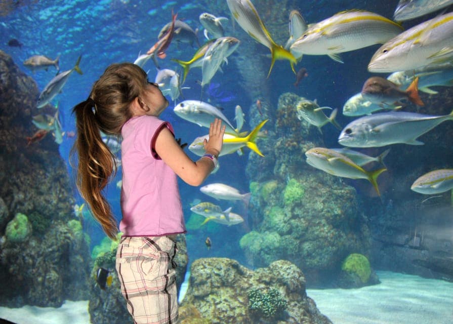 Downtown Aquarium All-Day Pass Gallery Image 2
