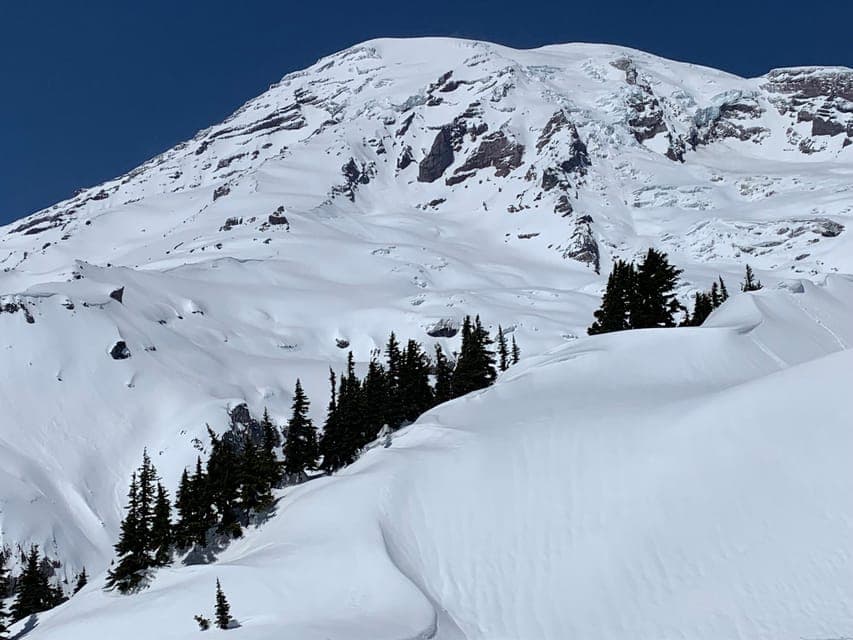Mt. Rainier Hiking w/ Waterfalls, Glaciers & Trees Gallery Image 2