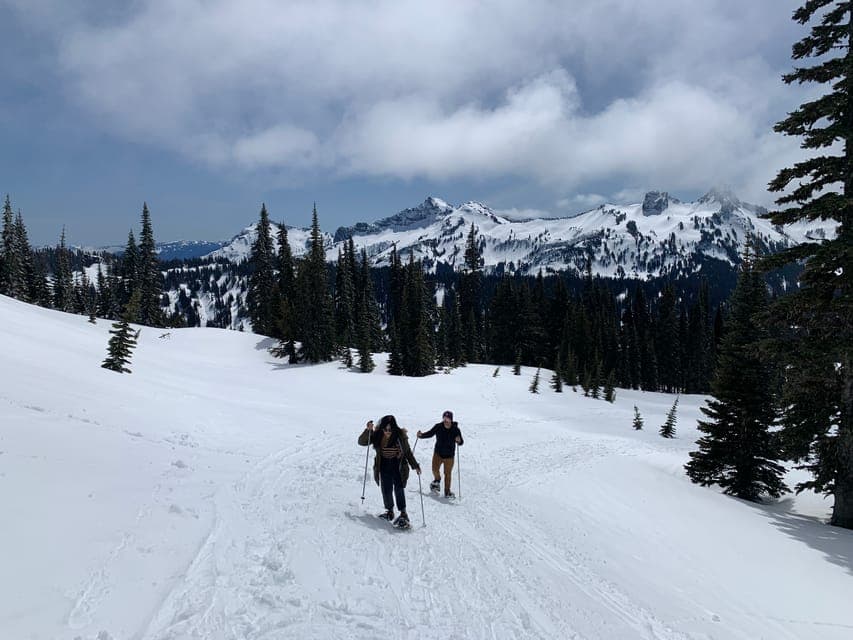 Mt. Rainier Hiking w/ Waterfalls, Glaciers & Trees Gallery Image 3