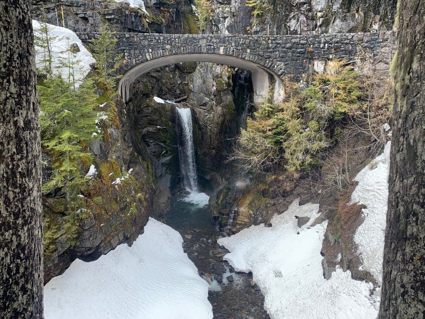 Mt. Rainier Hiking w/ Waterfalls, Glaciers & Trees Gallery Image 4