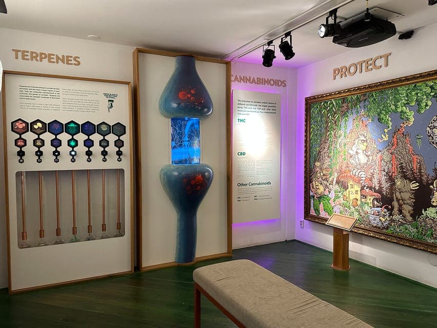 Cannabis Museum Entry Ticket Gallery Image 3