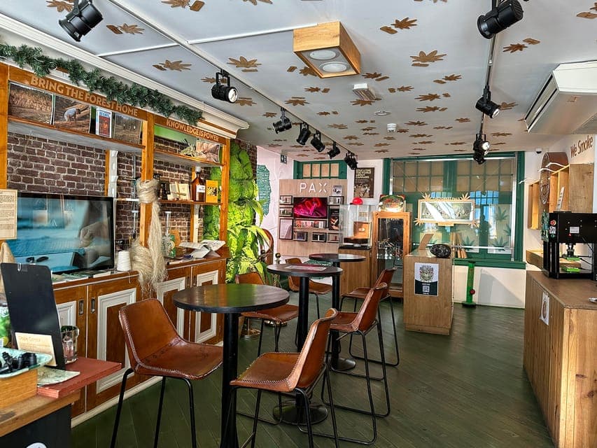 Cannabis Museum Entry Ticket Gallery Image 2