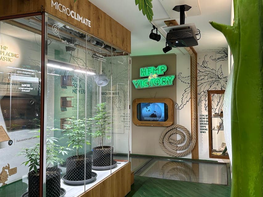 Cannabis Museum Entry Ticket Gallery Image 1