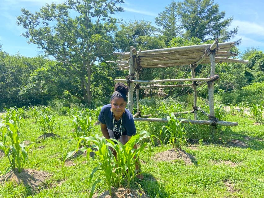 Plymouth: Plimoth Patuxet 17th-C Living History Museums Gallery Image 4