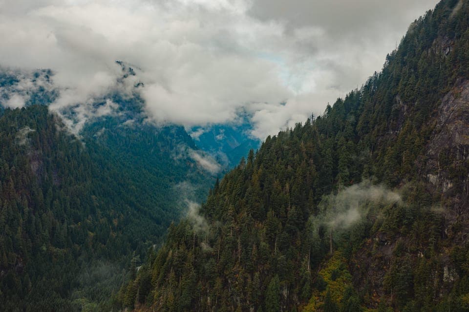 Backcountry Helicopter Tours with Hotel Pickup Gallery Image 4