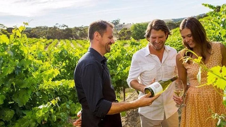 Ontario: Afternoon Wine Tour and Cheese Pairing Gallery Image 1