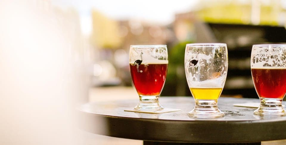 9. Niagara Craft Brewery Tour Niagara Falls - Image 9