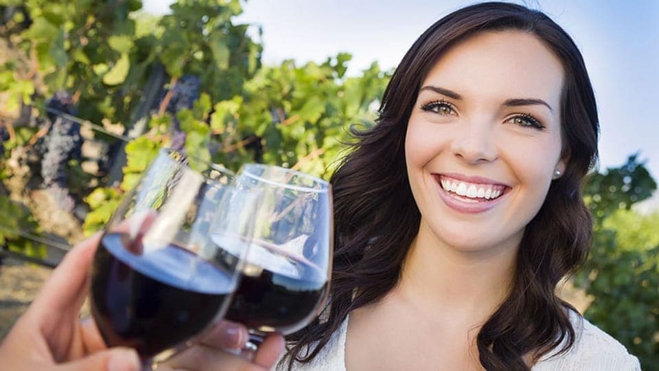 Niagara-on-the-Lake: Sunset Wine Tour with Dinner - Image 3