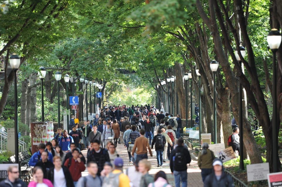 UPenn Campus Walking Tour & Museum Ticket - Image 7