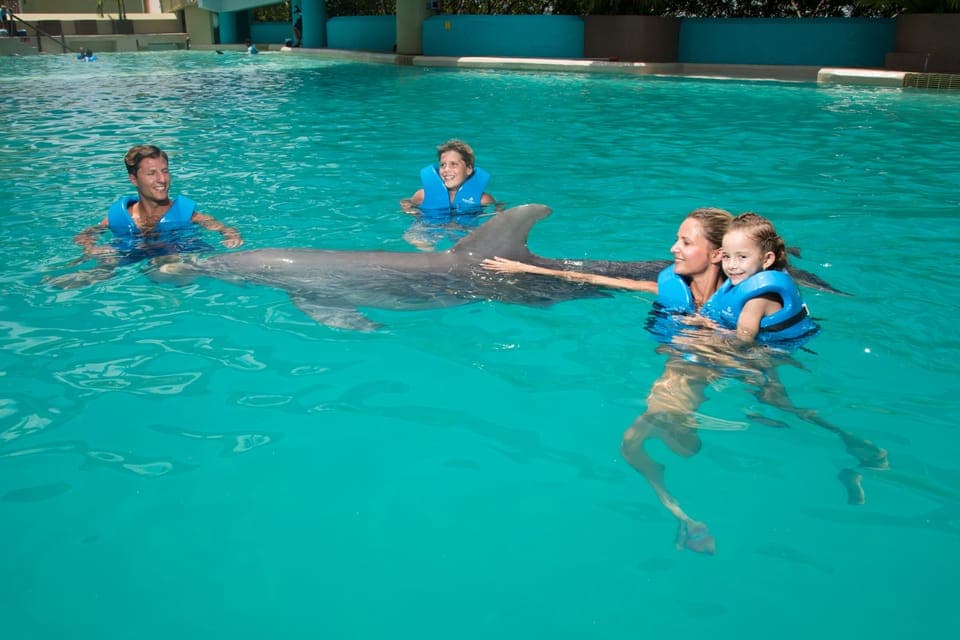 Cancun: Interactive Aquarium - Swim with dolphins Premium Gallery Image 2
