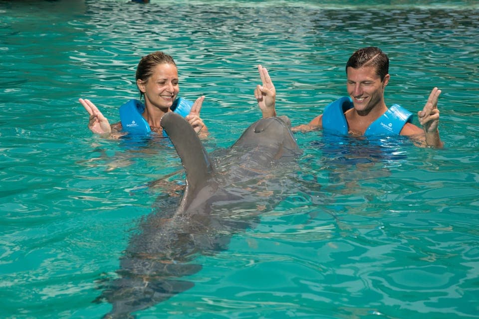 Cancun: Interactive Aquarium - Swim with dolphins Premium Gallery Image 3