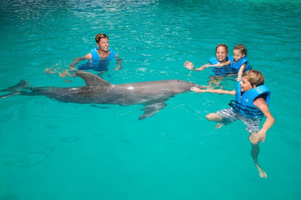 Cancun: Interactive Aquarium - Swim with dolphins Premium Gallery Image 4