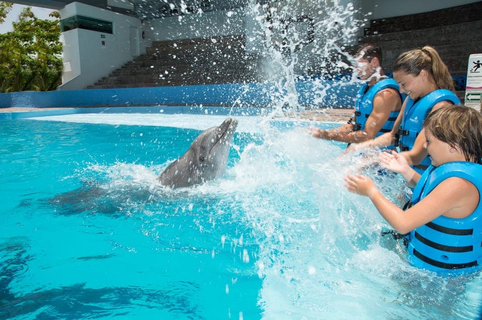 14. Cancun: Interactive Aquarium - Swim with dolphins Premium - Image 14