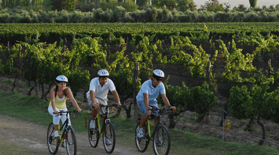 Niagara-on-the-Lake: Bicycle Tour with Wine Tasting - Image 5