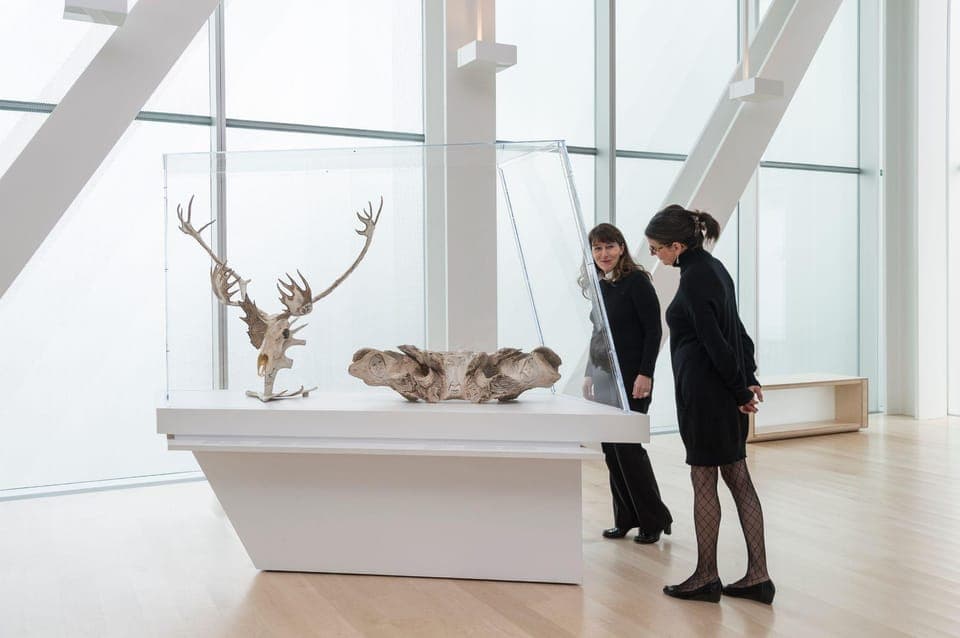 MNBAQ National Fine Arts Museum Entry Ticket Gallery Image 1