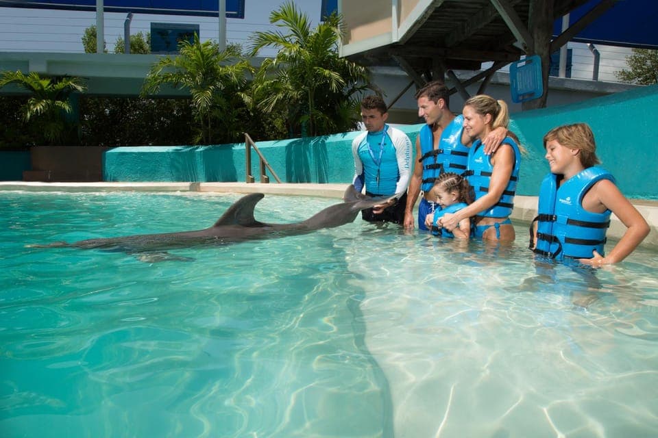 Cancun: Interactive Aquarium Ticket and Swim with Dolphins Gallery Image 1