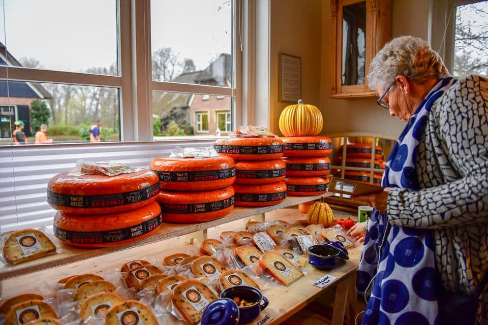 Giethoorn and Zaanse Schans Windmills Day Tour Gallery Image 3