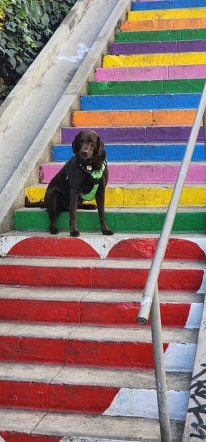 Secret Painted Stairs Walking Tour w/ Bakery Gallery Image 2