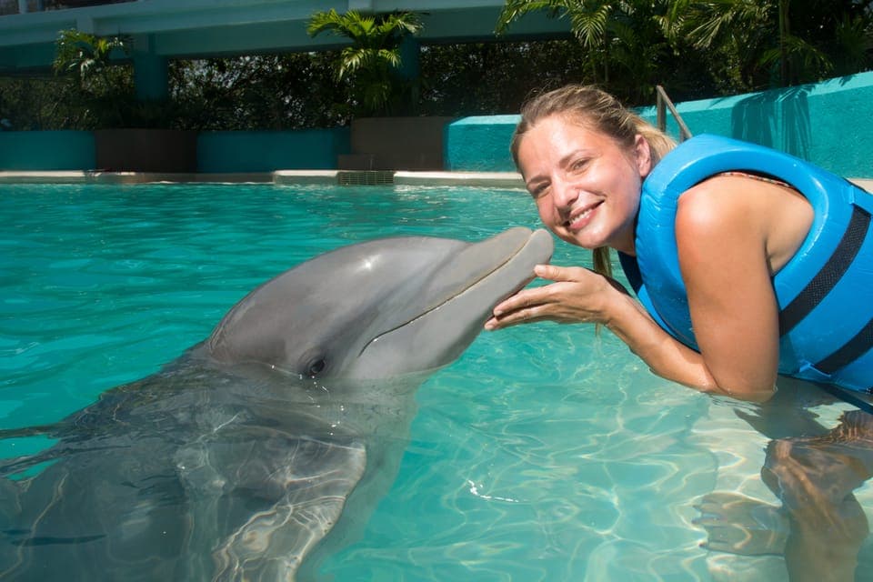 19. Cancun: Interactive Aquarium - Swim with Dolphins Splash - Image 19