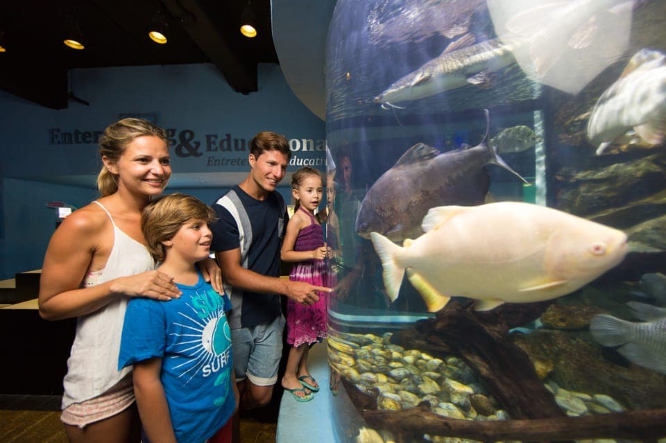 Interactive Aquarium Admission Gallery Image 1