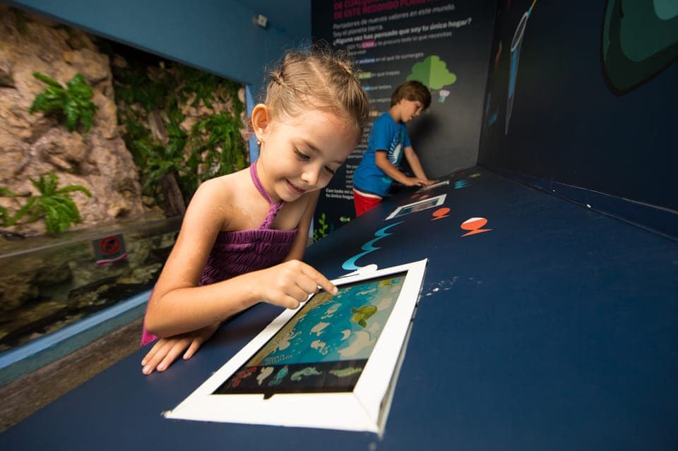 Interactive Aquarium Admission Gallery Image 2
