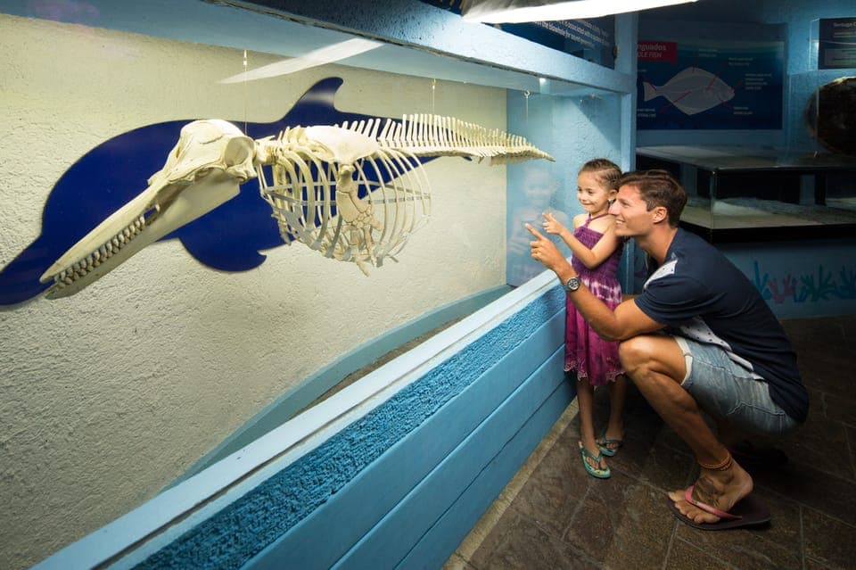 Interactive Aquarium Admission Gallery Image 3