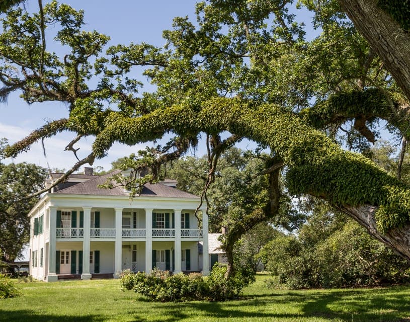 40. Felicity Plantation Guided Tour - Image 40