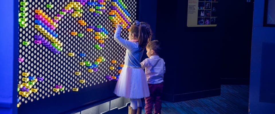 San Antonio CityPASS®: Save up to 51% on 4 Top Attractions Gallery Image 2