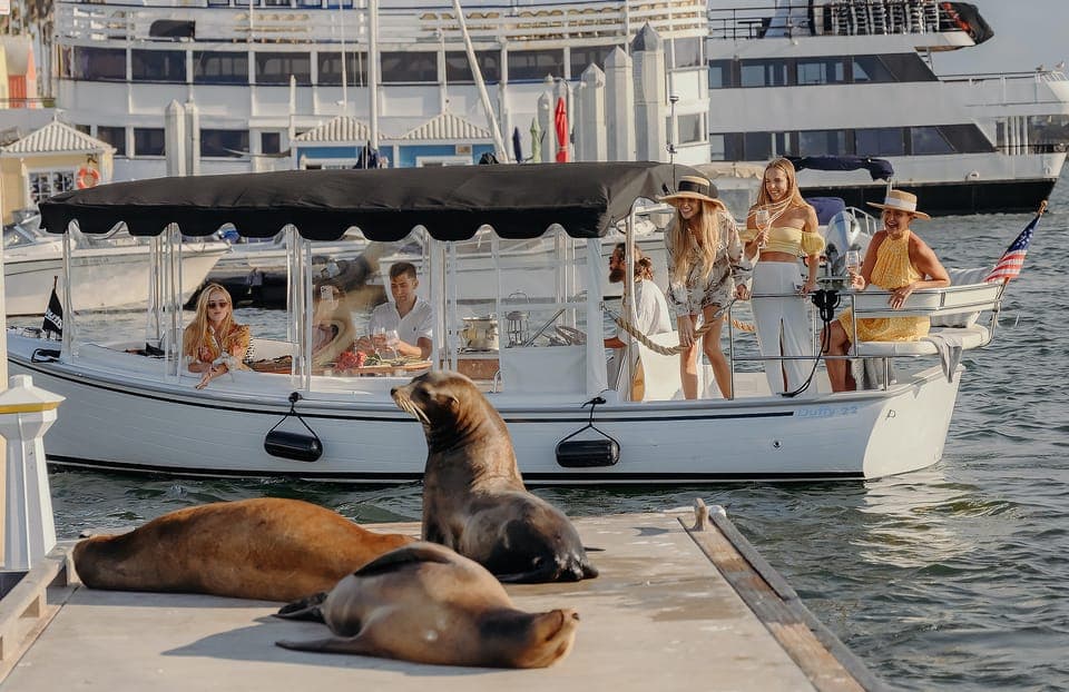 Luxury Cruise with Wine, Cheese & Sea Lions - Image 8