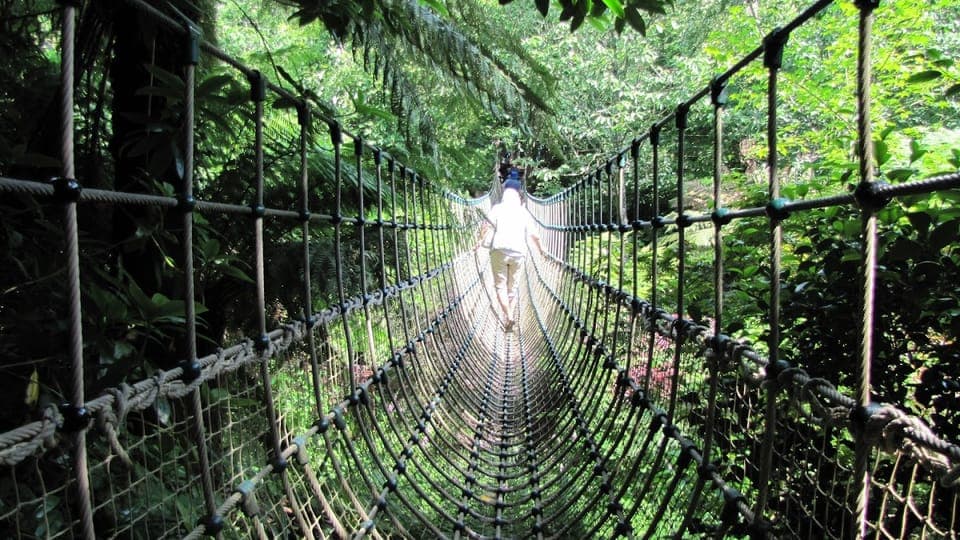 Stonehenge and Cornwall 3-Day Private Tour Gallery Image 3