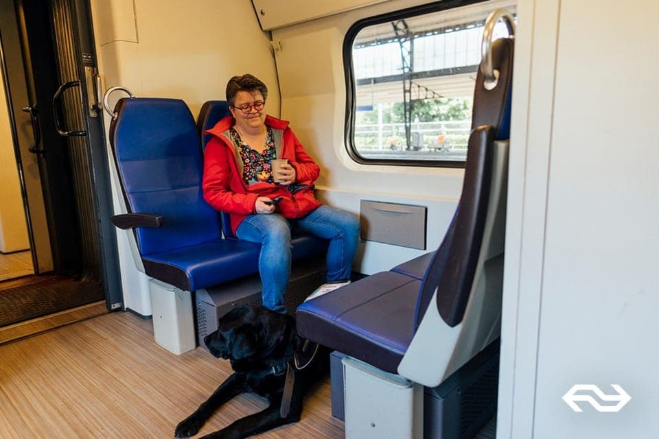 Amsterdam/Rotterdam: One-Way Train Ticket Gallery Image 4