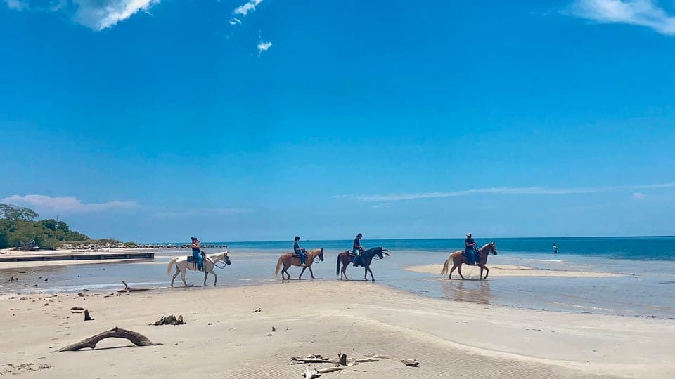 35. Beach Horse Ride & Nature Trail - Image 35