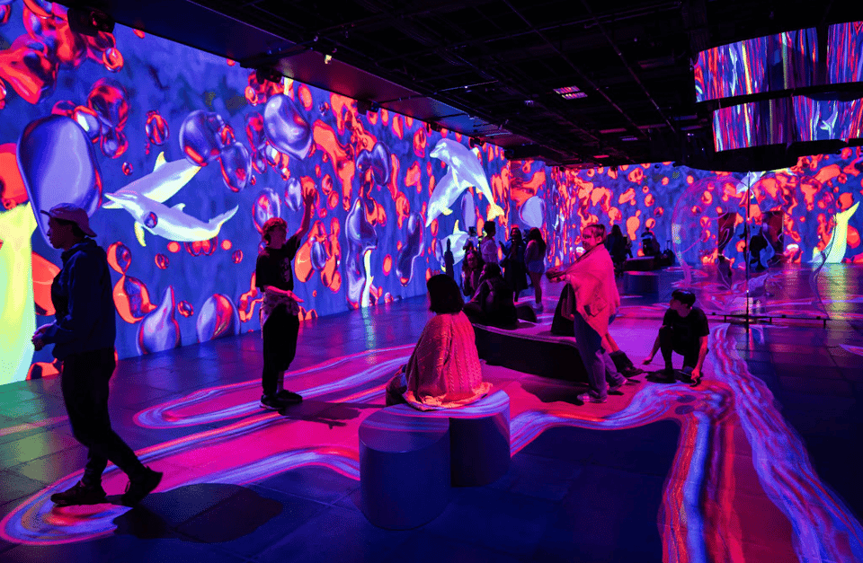 OASIS Immersion Entry Ticket Gallery Image 1