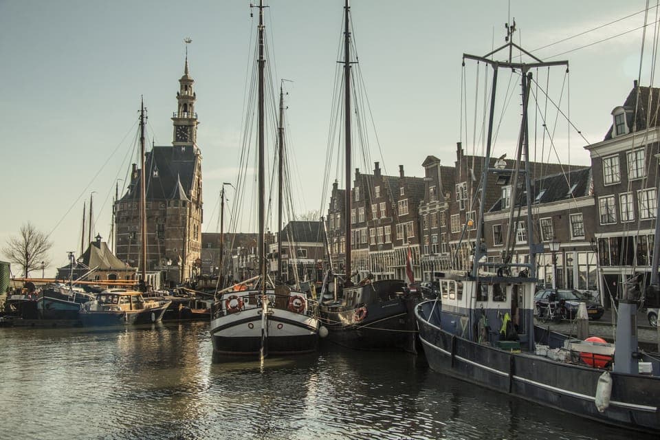 Full Day Private Dutch Golden Age Cities Tour Gallery Image 3