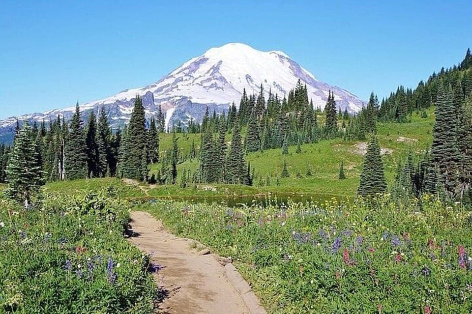 Full-Day Mt Rainier National Park Tour Gallery Image 4